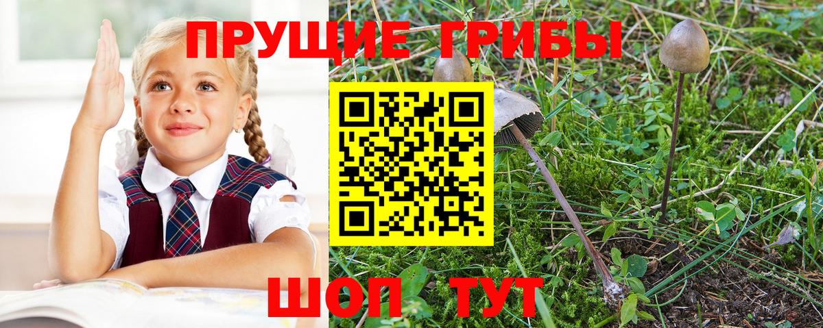 Псилоцибиновые грибы ЛСД  Горячий Ключ 