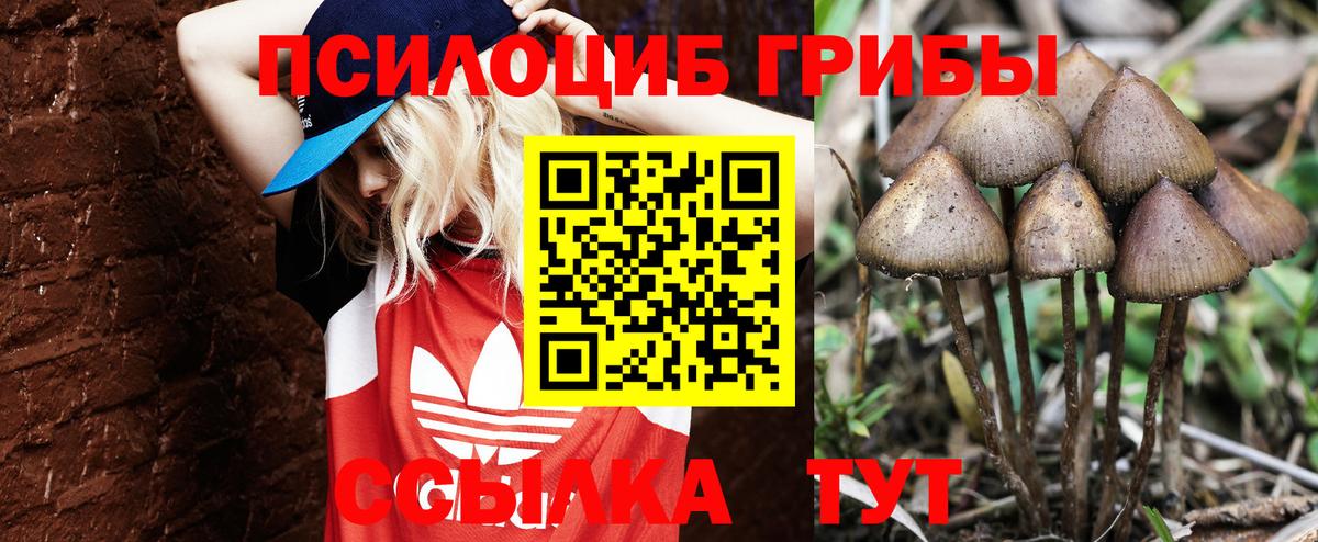 Галлюциногенные грибы Magic Shrooms Горячий Ключ