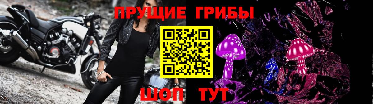 Псилоцибиновые грибы Magic Shrooms  Вход с VPN  Горячий Ключ 